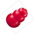 Kong